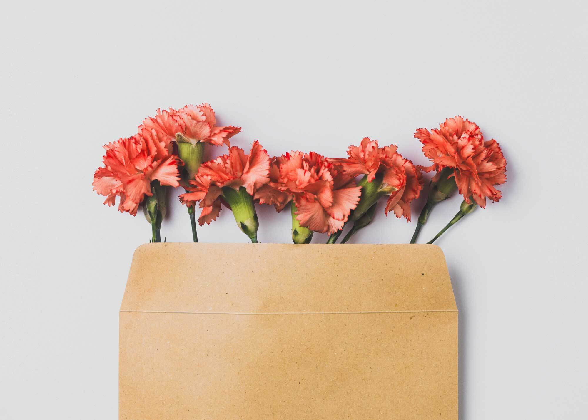 Flowers coming out of an envelope